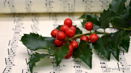 Kerstzingen met optreden van Framagomi